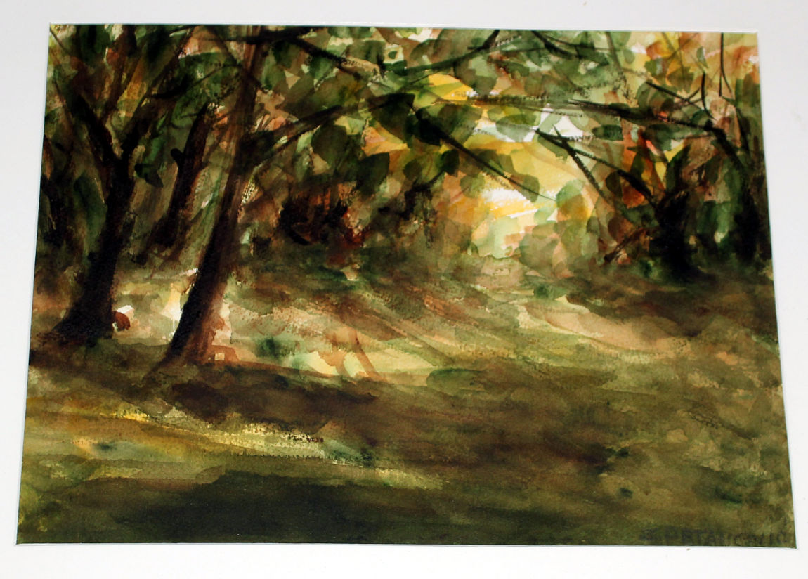 Zvonko Petanović Slavonski Brod